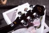 Grote GT339 Semi-Hollow Body Electric Guitar